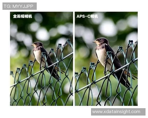 上海乒乓球队包夹战术解析及其在比赛中的应用与影响 上海乒乓球队包夹战术解析及其在比赛中的应用与影响